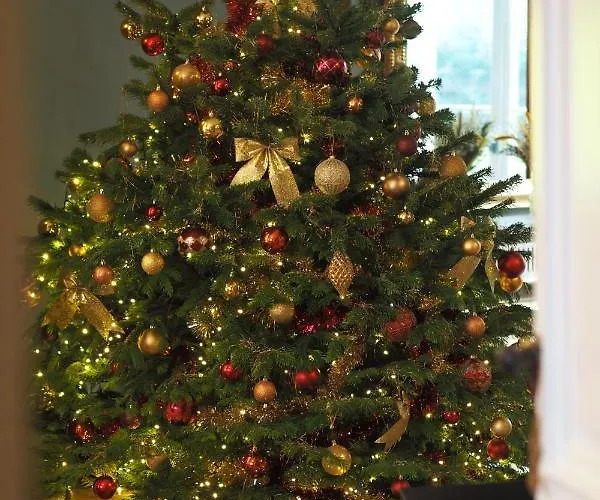 La Course Pensión Burdeos